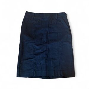 Ann Taylor Pencil Skirt